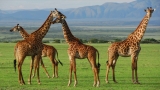 Top 10 Best Places to Visit in Africa 2017