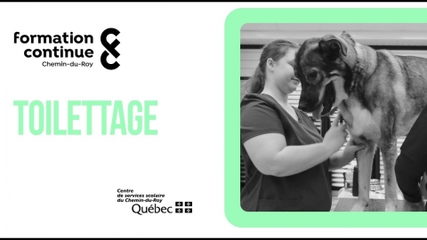 AEP | Toilettage