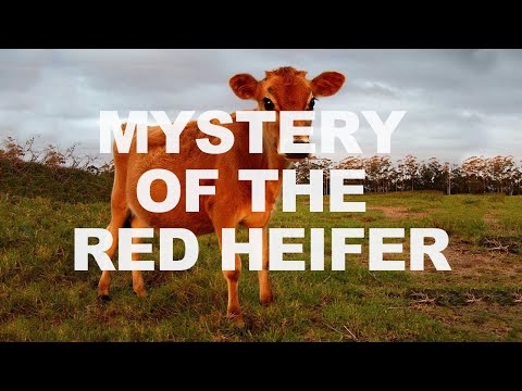 The Mystery of the Red Heifer | Ken Johnson