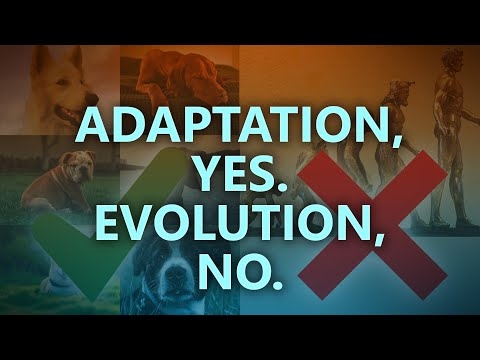 Adaption, yes. Evolution, no.