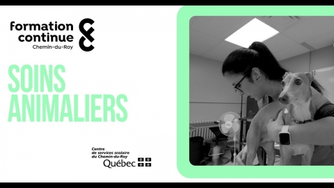 AEP | Soins animaliers