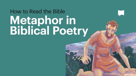 How to Read the Bible: Metaphor in Biblical Poetry