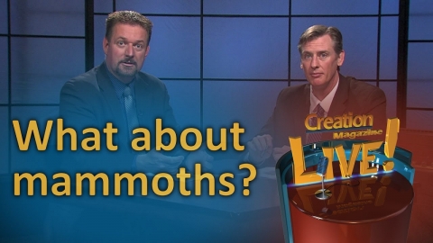 What about mammoths? (Creation Magazine LIVE! 6-14)