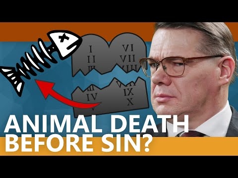 Did animals die before Adam sinned?