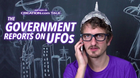 The Government Reports on UFOs