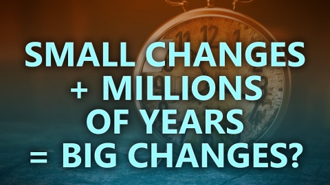 Small changes + Millions of years = Big changes