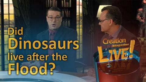 Did dinosaurs live after the flood?