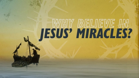 Why Believe in Jesus' Miracles | Why Jesus?