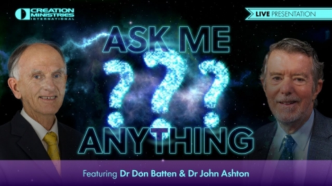 Creation: Ask Me Anything (AMA)