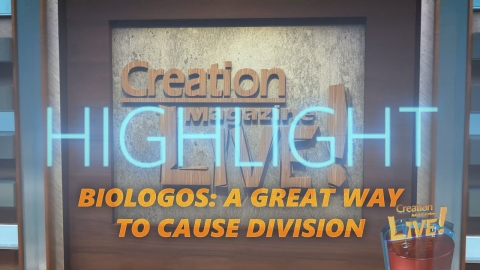 BioLogos: a great way to cause division