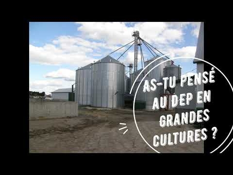 DEP | Grandes cultures