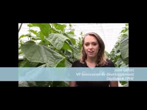 DEC | Technologie de la production horticole agroenvironnementale