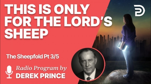 🎁 This isn't For Everyone - The Sheepfold 3 of 5  - The Shepherd's Provision