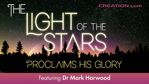 The Light of the Stars Proclaims His Glory
