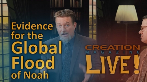 Evidence for the Global Flood of Noah