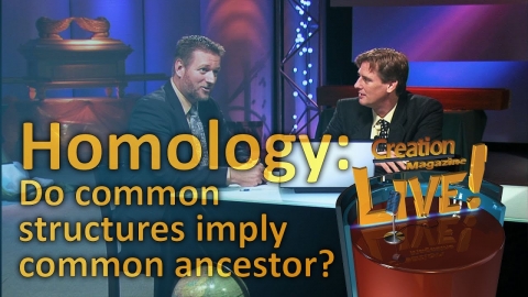 Homology -- do common structures imply common ancestor? (Creation...