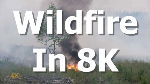 Alberta: Prescribed burn 8K footage scene of devastation 5-18-2023