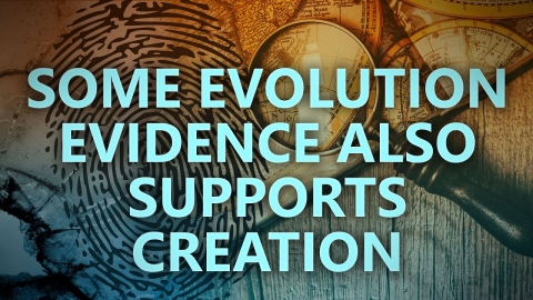 Some evolution evidence also supports creation