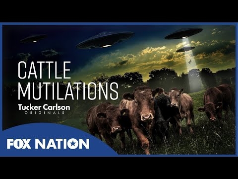 Tucker Carlson and Cattle Mutilations