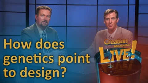 How does genetics point to design? (Creation Magazine LIVE! 6-18)