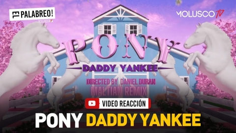 Se activa #ElPalabreo con tema sorpresa de Daddy Yankee “PONY” 🔥🔥🔥