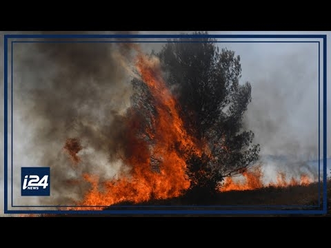 Wildfires ravage southern Europe amid heatwave