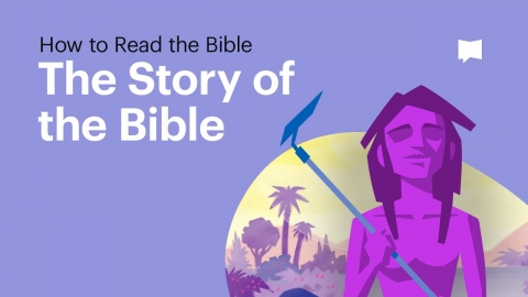 How to Read the Bible: Biblical Story