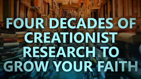 Four decades of creationist research to grow your faith