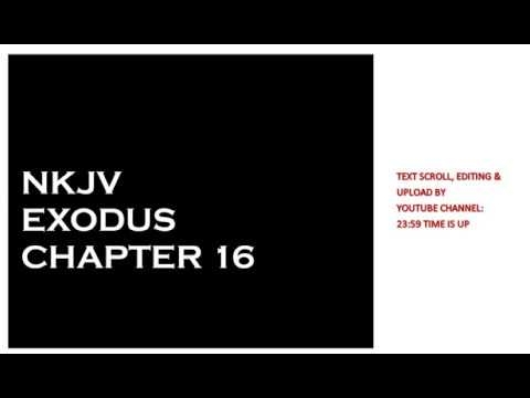 Exodus 16 - NKJV - (Audio Bible & Text)