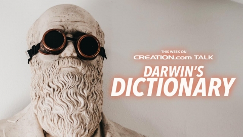 Darwin’s Dictionary