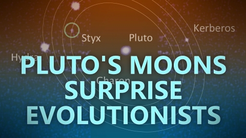 Pluto’s moons surprise evolutionists