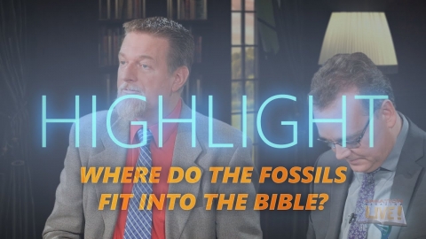 Where do fossils fit into the Bible?
