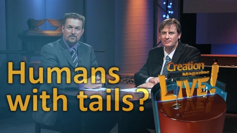 Humans with tails? (Creation Magazine LIVE! 5-03)