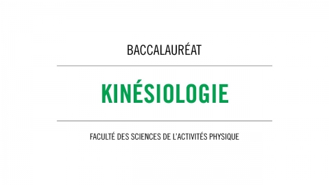 Baccalauréat en kinésiologie
