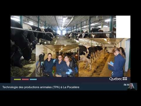DEC | Technologie des productions animales