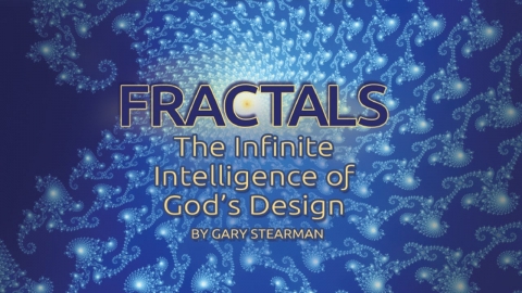 Creation as a Divine Algorithm | Gary Stearman