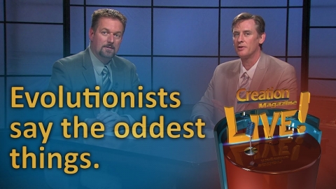 Evolutionists say the oddest things (Creation Magazine LIVE! 6-17)