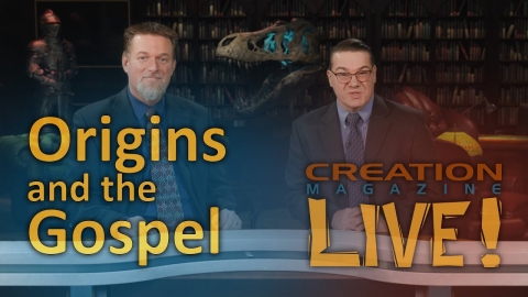 Origins and the Gospel