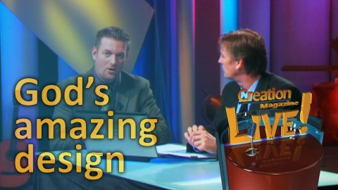 God's amazing design -- Creation Magazine LIVE! (2-06)