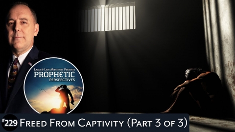 Freed From Captivity (Part 3 of 3)