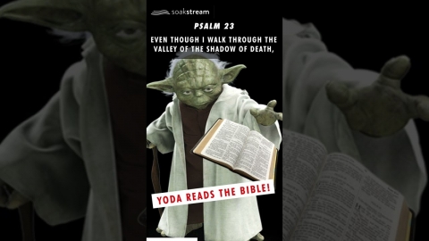 Yoda got saved and reads the Bible! 🙌🏼😱🤯💥😝
