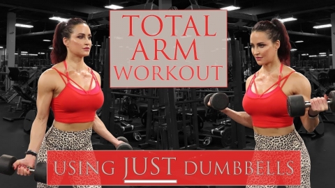Full Arm Workout | At Home or Gym