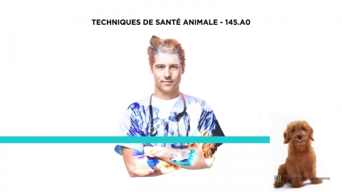 DEC | Techniques de santé animale