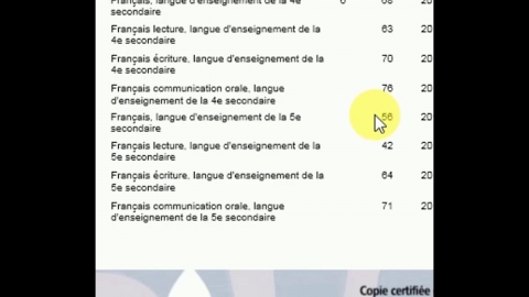 Explications du relevé des apprentissages de 5e secondaire