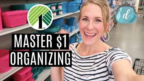 HOW I MASTERED DOLLAR TREE ORGANIZING (and you can, too!)