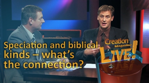 Speciation and the biblical kinds – What’s the connection?...