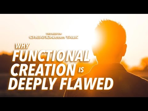 Why Functional Creation is Deeply Flawed