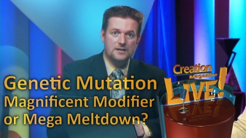 Genetic Mutation - Magnificent Modifier or Mega Meltdown? -- Creation...