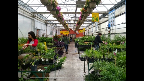 DEP | Horticulture et jardinerie