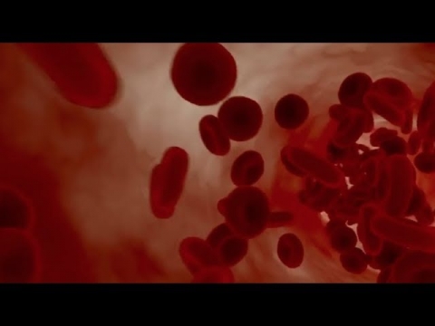To the Point - Blood Clotting